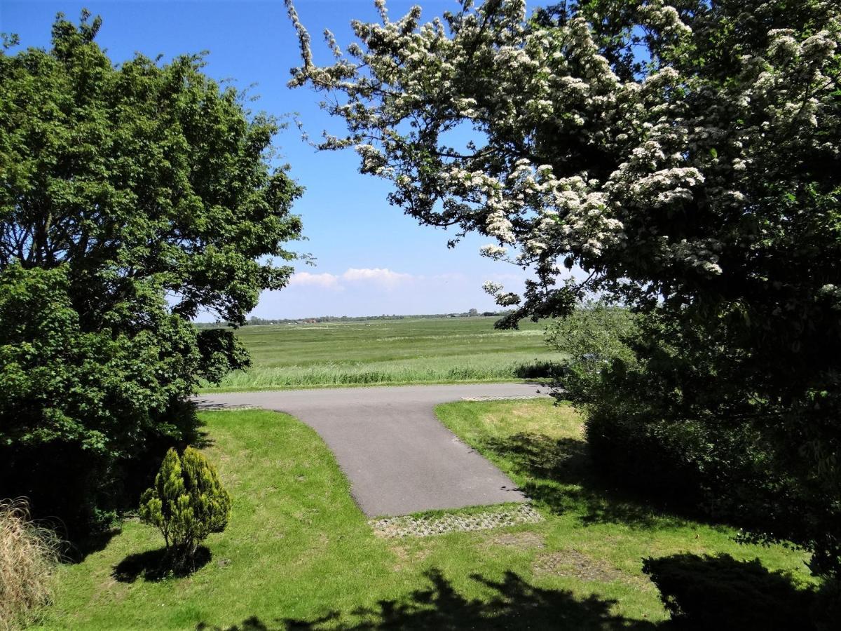 Vakantiewoning Grevelingen Villa Scharendijke Eksteriør billede
